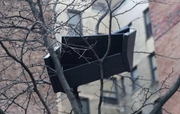 «أريكة فوق شجرة» تثير عاصفة من التساؤلات في نيويورك