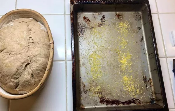 إعداد رغيف خبز باستخدام خميرة فرعونية عمرها 4500 عام