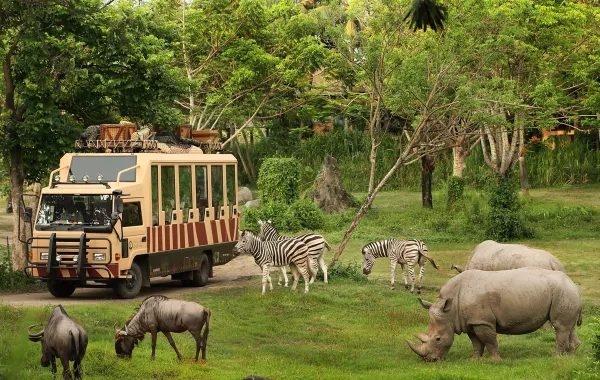 أكبر حديقة حيوانات في العالم