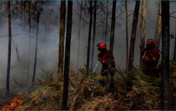 رجال الإطفاء يحاول إطفاء حرائق الغابات. الصورة من وكالة الأنباء الفرنسية.